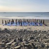 Yoga On York