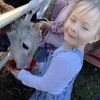 Covenant Community Preschool