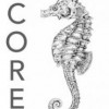 Core Inspections