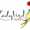 Ladybird Poppy