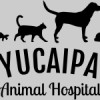 Yucaipa Kennel & Boarding