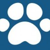 County Line Animal Hospital