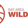 Bay Area Wildcats Youth Basketball Program