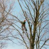 Abair Tree Service