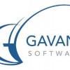 Gavant Software