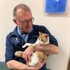 Hometown Veterinary Clinic