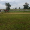 Bailey Oaks Farms