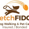 Fetch Fido