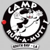 Camp Run-A-Mutt Kearny Mesa