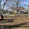 Middlesex Tree Service