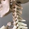 Shreveport Chiropractic