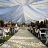 Events By Shideh