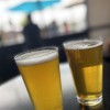 Artifex Brewing