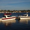 Arrowcat Marine
