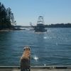 Sea Ventures