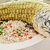 Loosh Culinaire