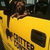 Critter Control Of San Jose