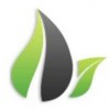 The Accfin Group