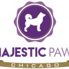 Majestic Paws