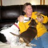 Affordable Pet Services