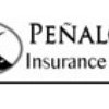 Penaloza Insurance Services