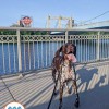 Come Sit Stay Dog Walking & In-Home Pet Sitting