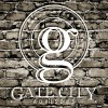 Gate City Advisors