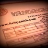 Southeast Spanish