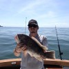 Havoc Charters
