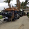 Jayz Hauling