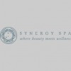 Synergy Spa Of The Guyer Institute
