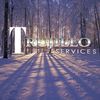 Trujillo Tax Sevices