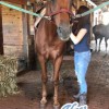 Royal Creek Farm