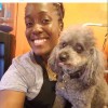 Doggie Goddess Pet Services