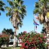 Wilderness Oaks RV Resort