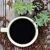 Chelsea Coffee