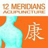 12 Meridians Acupuncture