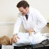 Dipippa Chiropractic