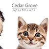 Cedar Grove