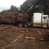 Auld Cedar Yard & Fencing