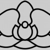 Orchid Home Staging