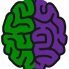 Whole Brain Escape