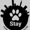 Stay. Dog Daycare & Boarding