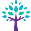 Forest Lane Pediatrics