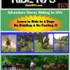 Adventure Horse Riding In NYS
