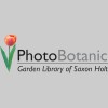 Saxon Holt Photography