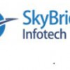 Skybridge Infotech