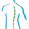 Naturopathic Options