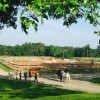 Southlands Foundation