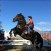 Alaska Horse Adventures